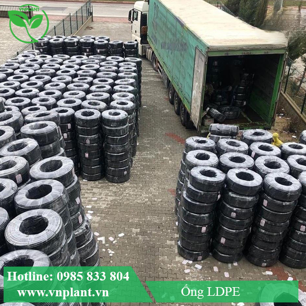 ong LDPE